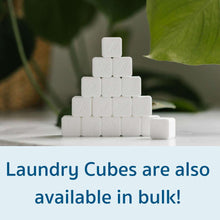 Load image into Gallery viewer, Nellie's Laundry Cubes