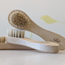 Load image into Gallery viewer, Facial Dry Brush